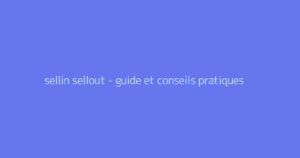 sellin sellout - guide et conseils pratiques