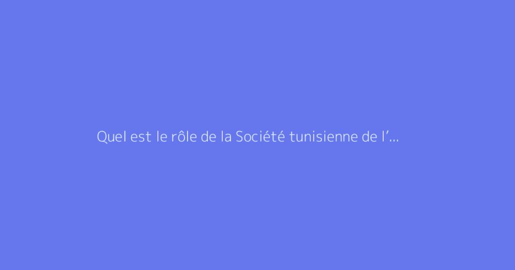 Quel est le rôle de la Société tunisienne de l’électricité et du gaz (STEG) ?