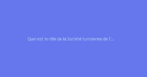 Quel est le rôle de la Société tunisienne de l’électricité et du gaz (STEG) ?