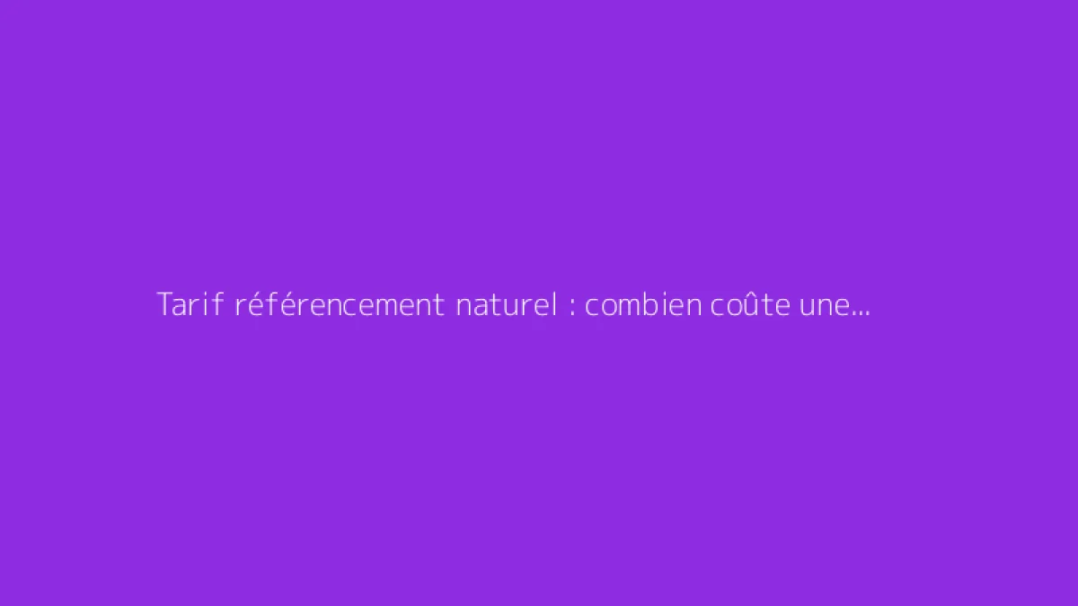 Tarif référencement naturel : combien coûte une prestation